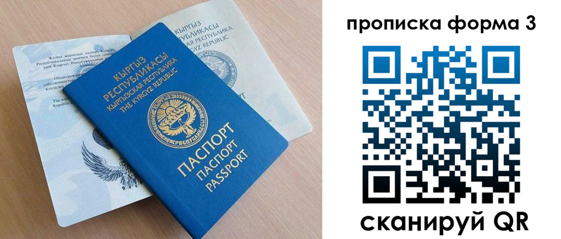 прописка 2025 в Благовещенске